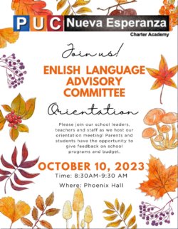 flyer